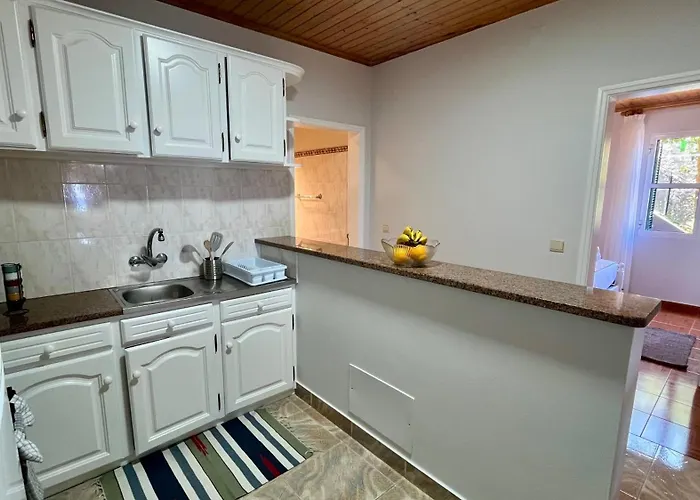 Domingos Reis São Vicente