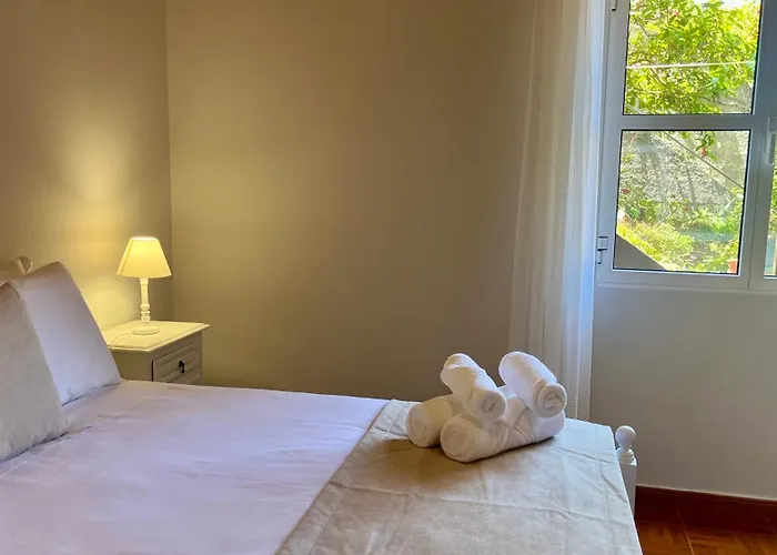 Domingos Reis São Vicente