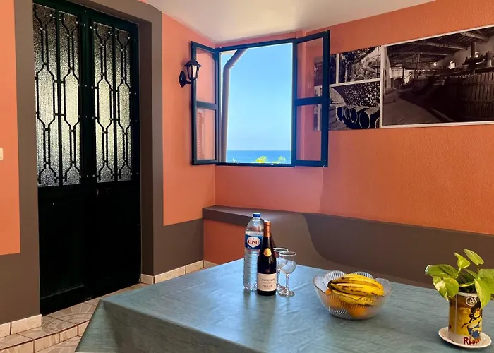 Domingos Reis São Vicente